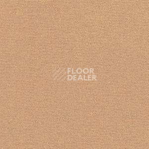 Ковролин Radici Nexus Beige 2406 фото 1 | FLOORDEALER